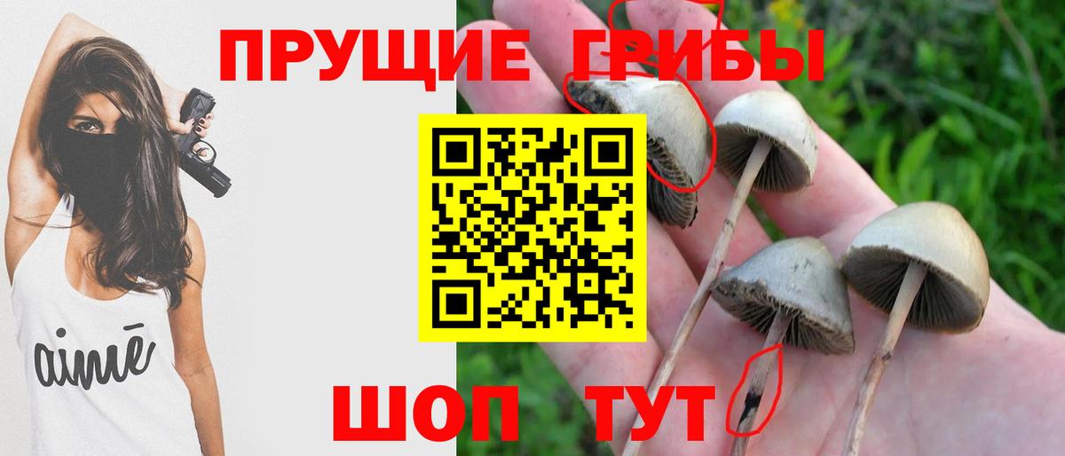 Псилоцибиновые грибы мухоморы Самара